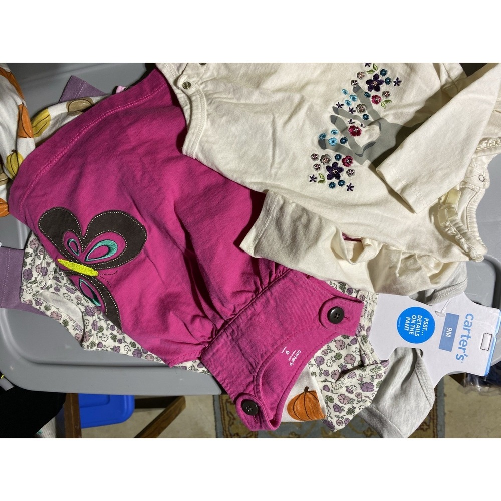 Girls 9 Month Clothing Bundle